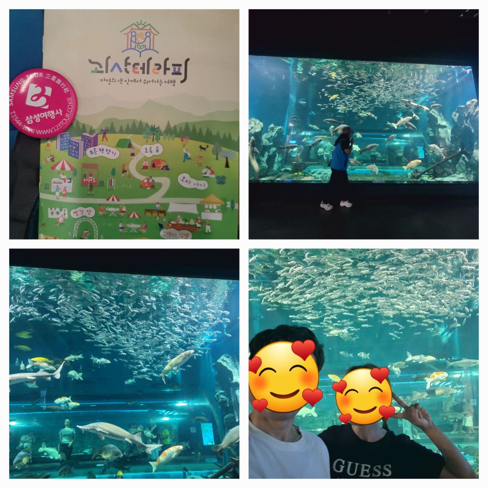 KakaoTalk_20260823_205020616.jpg