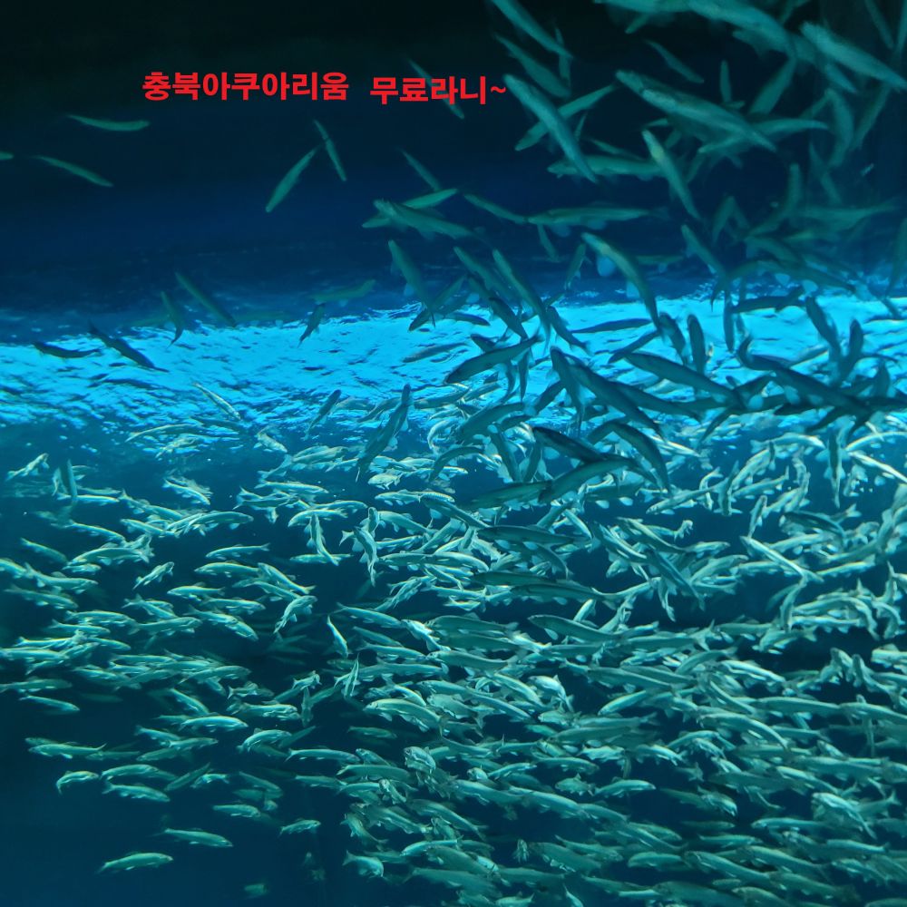 1-2-1.충북아쿠아리움(수정).jpg