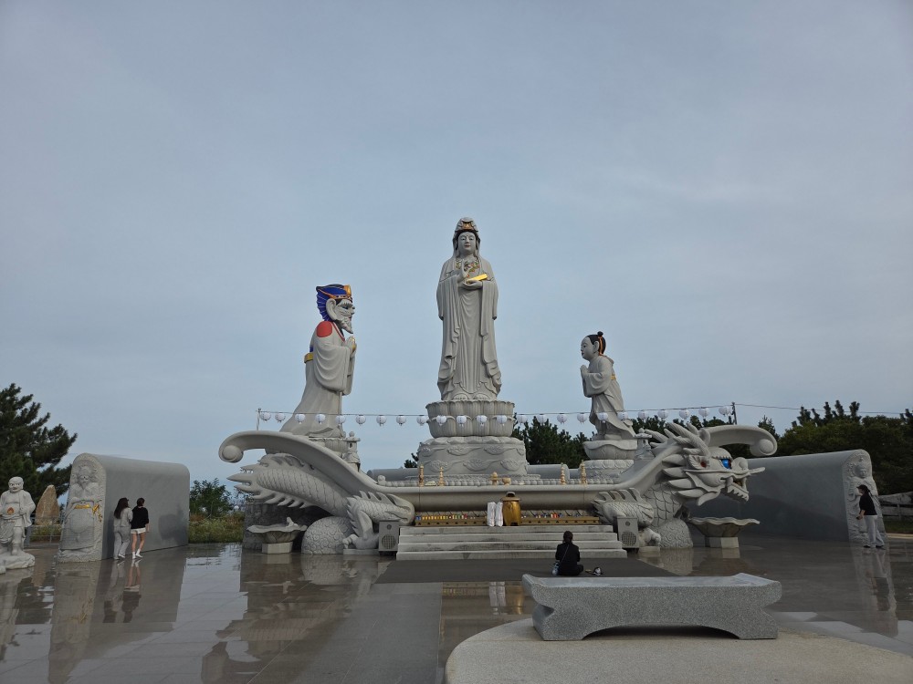48356.jpg