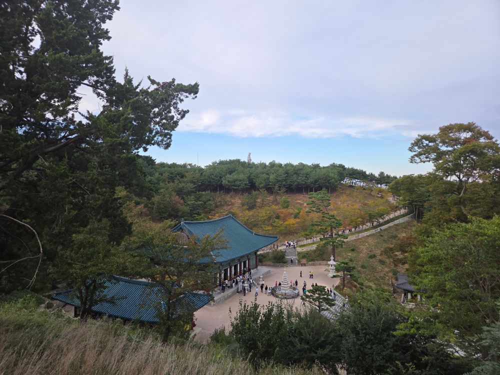 48363.jpg