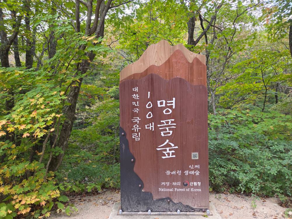 48457.jpg