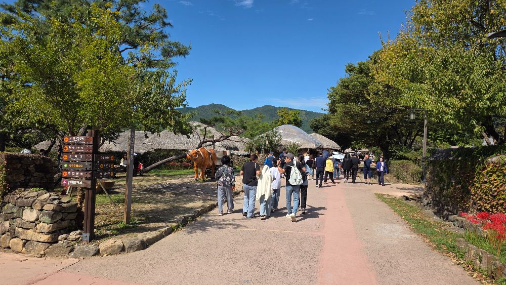 KakaoTalk_20261004_145454320_16.jpg