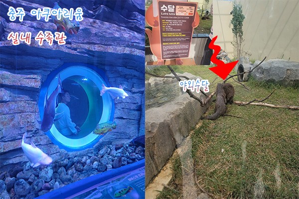 충주아쿠아리움_1.jpg