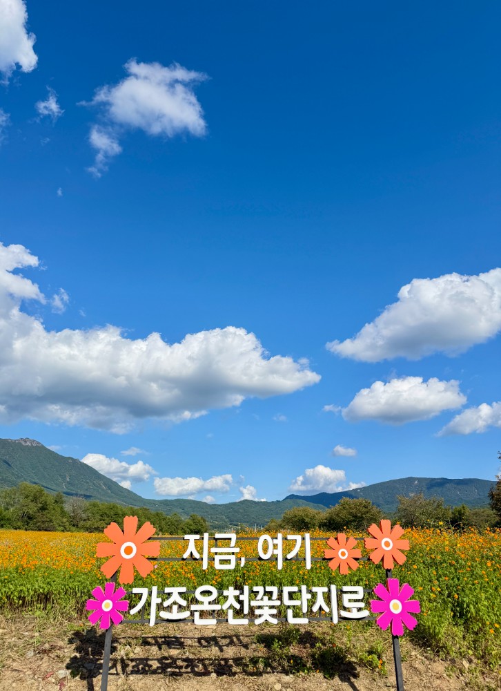 KakaoTalk_20261005_112211316_13.jpg