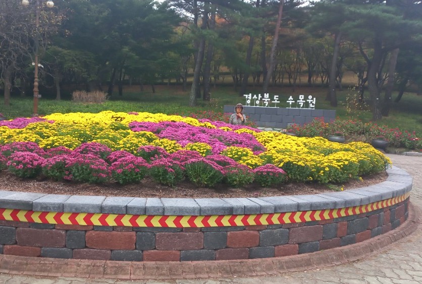 samsungtour_cm9910_30002320.jpg