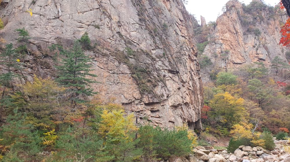 20261024_114815.jpg