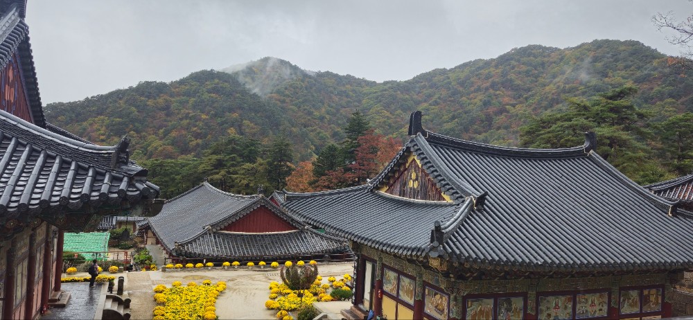 KakaoTalk_20261025_174427319_08.jpg