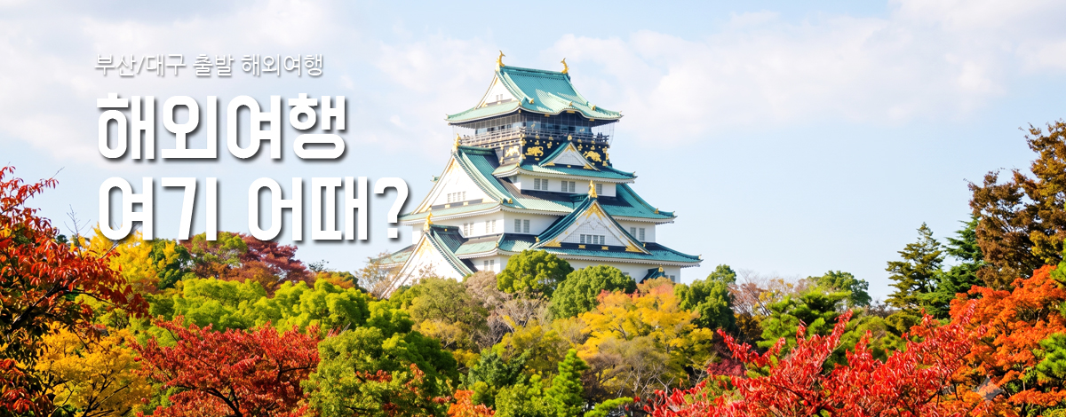 /upload/samsungtour/file/we1200/202609/samsungtour_cm9910_30000082.jpg